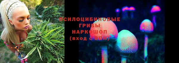 мет Богородицк