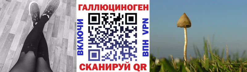 продажа наркотиков  Динская  Псилоцибиновые грибы Magic Shrooms 
